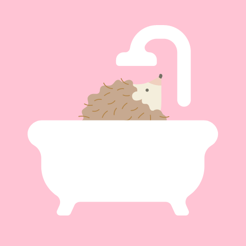 cartoon of hedgehog in a bath