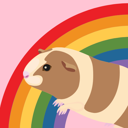 can guinea pigs see a full range of color