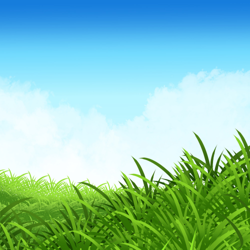 beautiful picture of grass