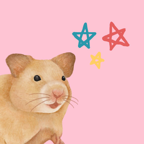 hamster stargazing