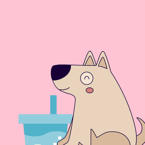 dog drinking sparkling water
