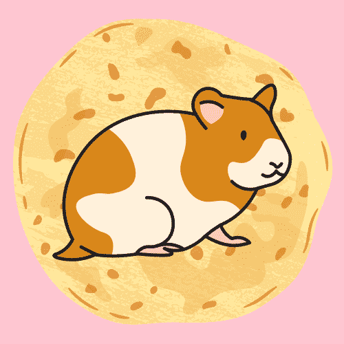 can hamsters have tortilla?