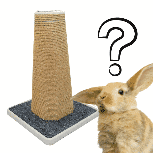 Do Rabbits Use Scratching Posts
