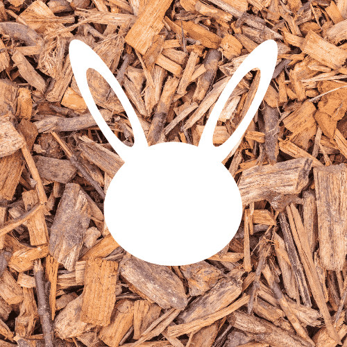 Is Aspen Wood Safe For Rabbits