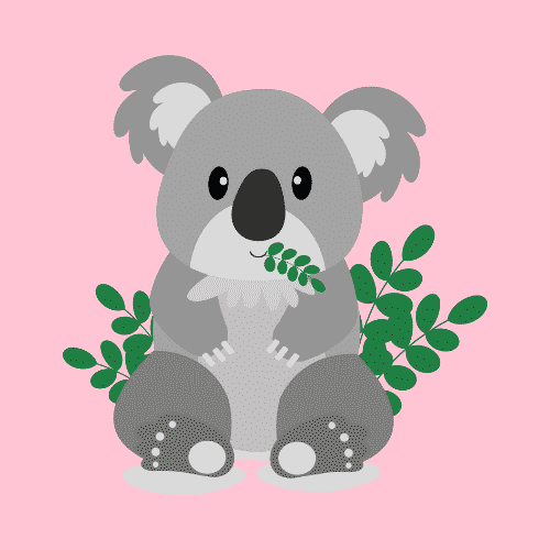 best koala names