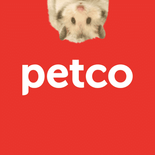 how old are hamsters from petco