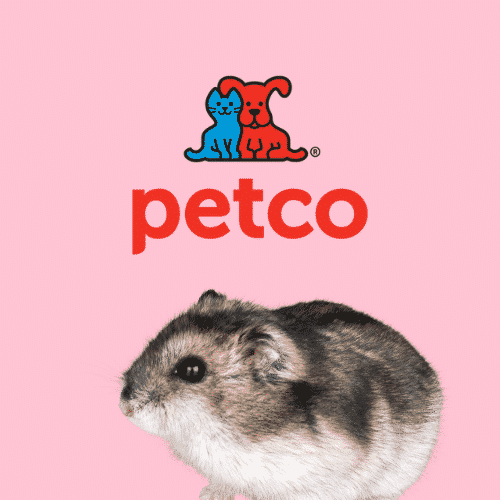 petco how old are the hamsters?