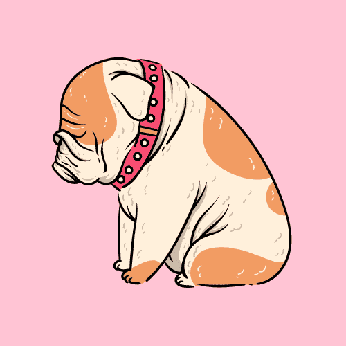 do dogs get sad when you yell at them