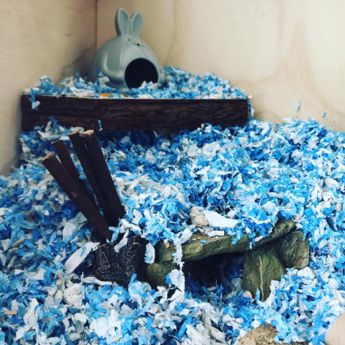 blue hamsters bedding