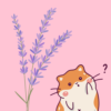 can hamsters have lavender