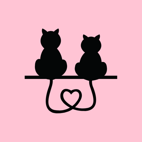 cats in love