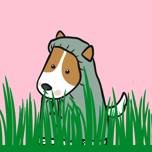 dog in raincoat on grass