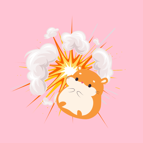 can hamsters explode?