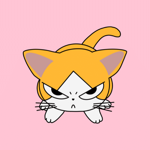angry cat face