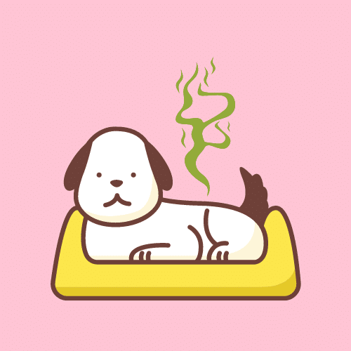 washing a dog bed