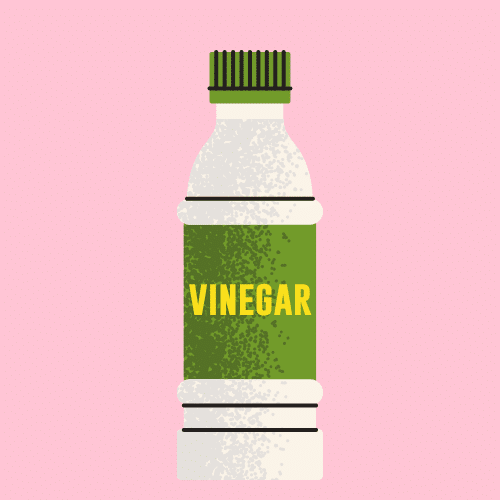 vinegar graphic