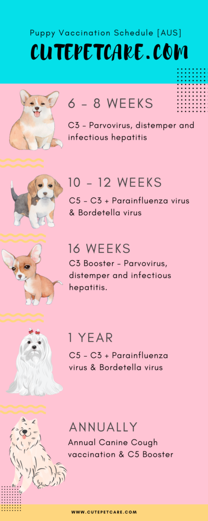 infographic about what vaccines to get for your dog at what age
