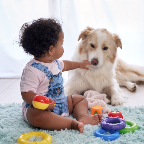 why are dogs so gentle with babies