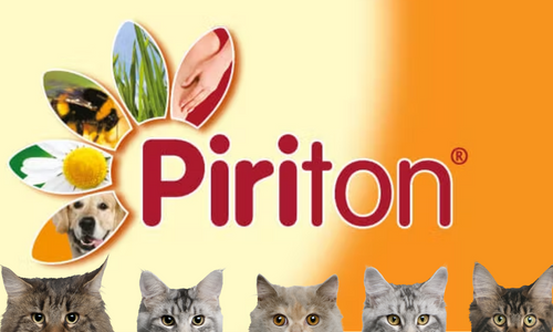 piriton for cats