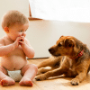 dog with baby
