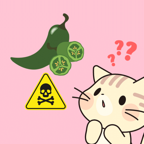 are Jalapeño plants toxic to cats?